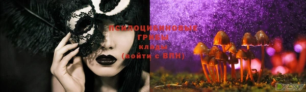 дурь Вяземский