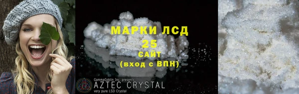 молекула духа Вязьма