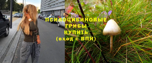 молекула духа Вязьма