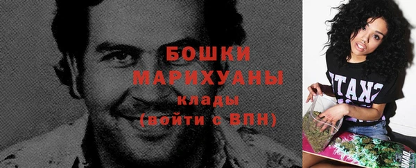 дурь Вяземский