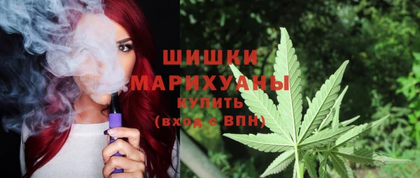 дурь Вяземский