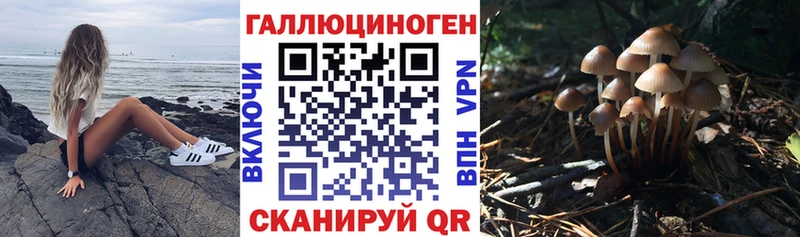 Псилоцибиновые грибы Psilocybine cubensis  Купить где  Краснотурьинск 